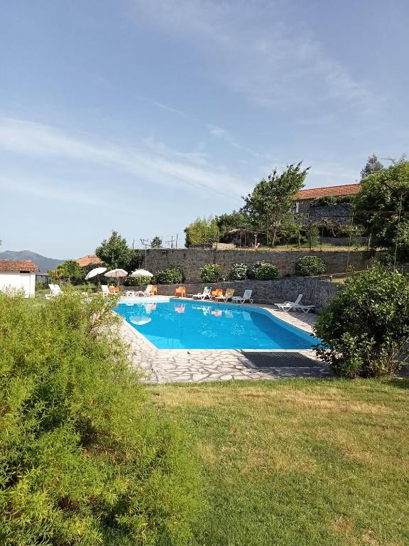 Outdoor swimming pool surrounded by the gardens